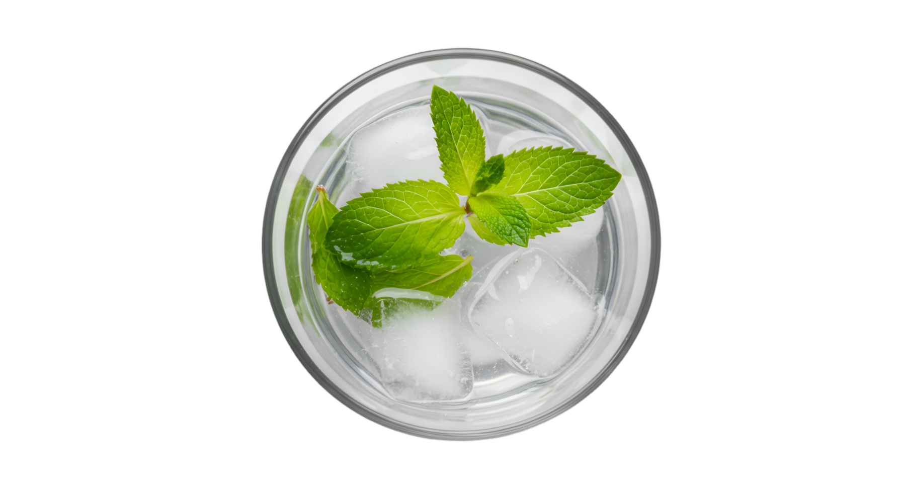 Refreshing mint sprigs and ice cubes in a clear glass topdown view png