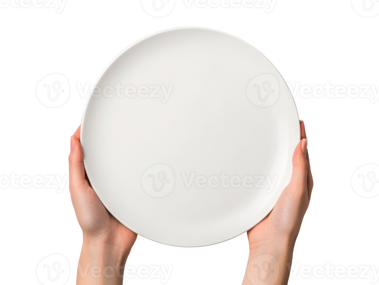 Hands holding a blank plate ready for serving or presenting food png