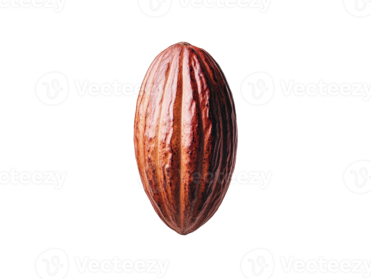 Cacao pod ready for chocolate production and culinary delights png