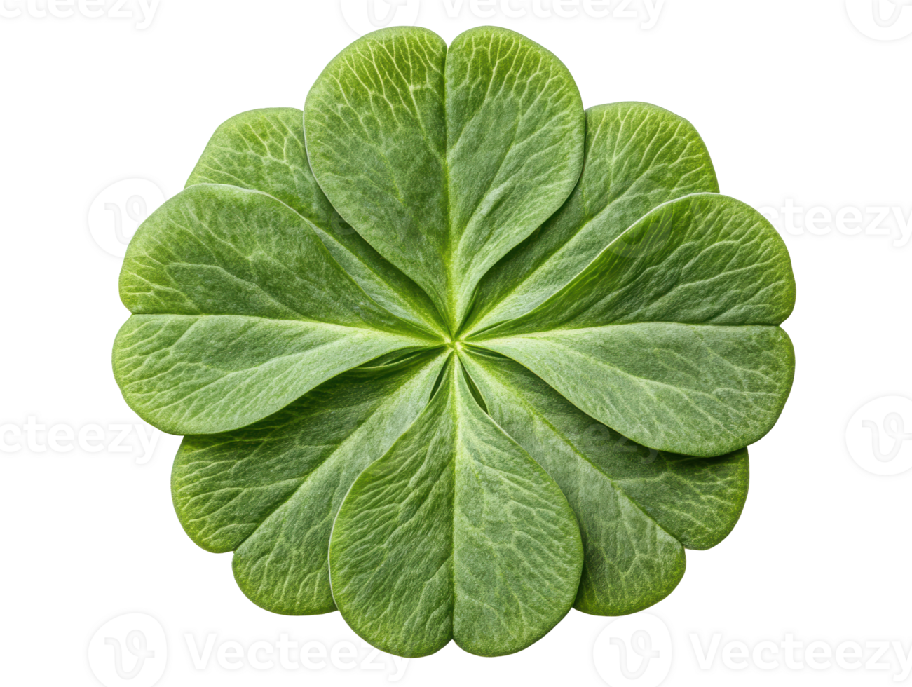 Unique green leaf pattern for nature themes and designs png