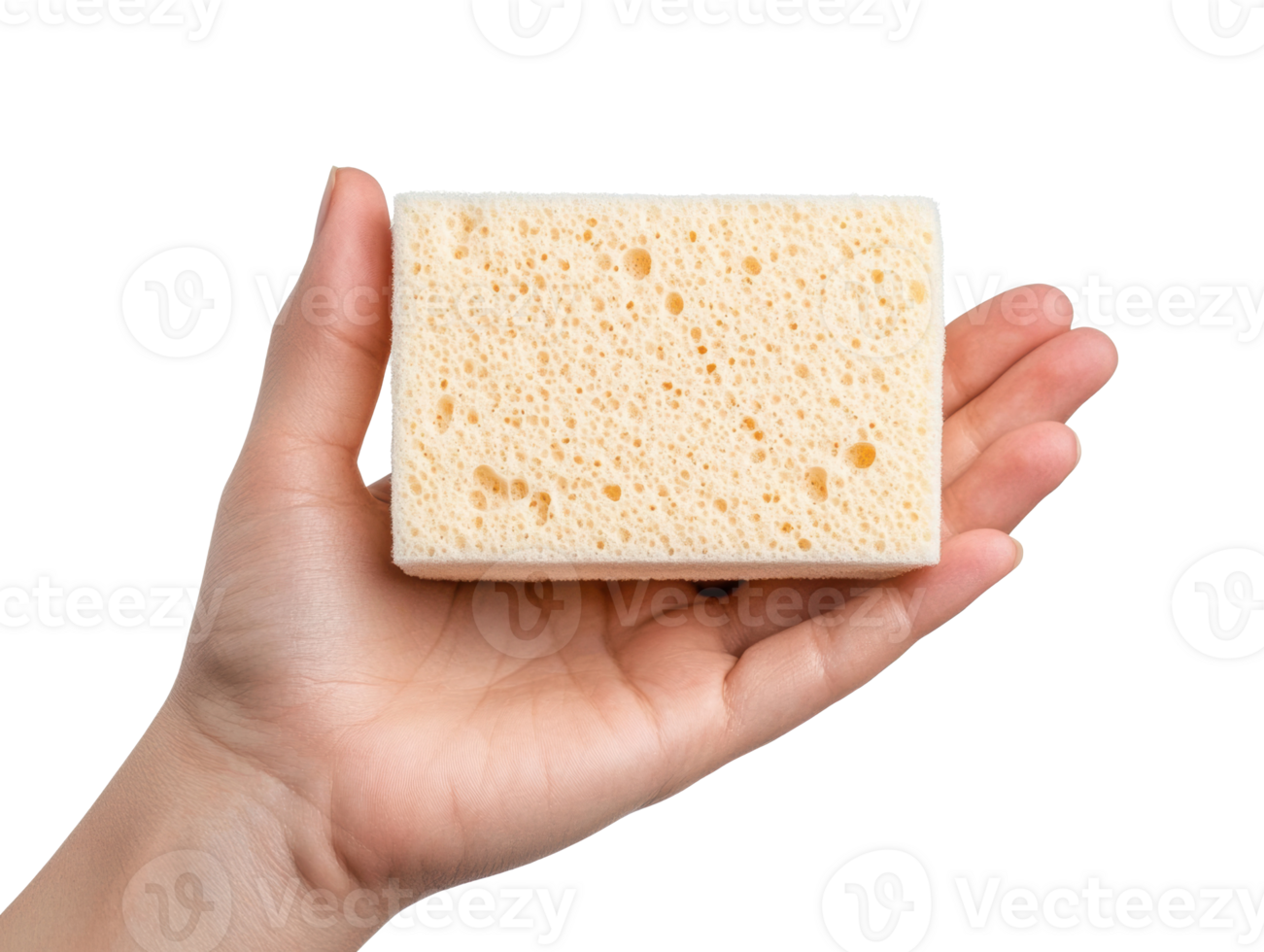 Hand holding a cleaning sponge for home use and maintenance png