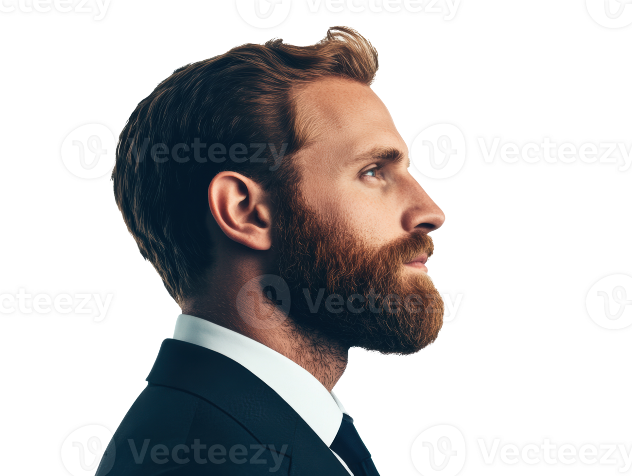 Profile view of a man with beard wearing a suit png