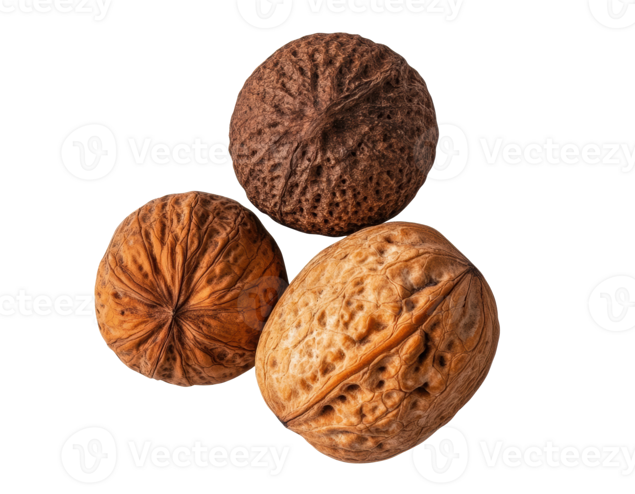 Varied nuts displayed on a neutral surface for cooking png