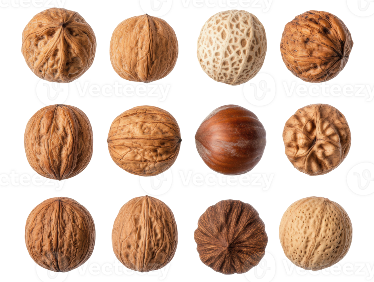 Diverse collection of nuts showcasing various textures and colors png