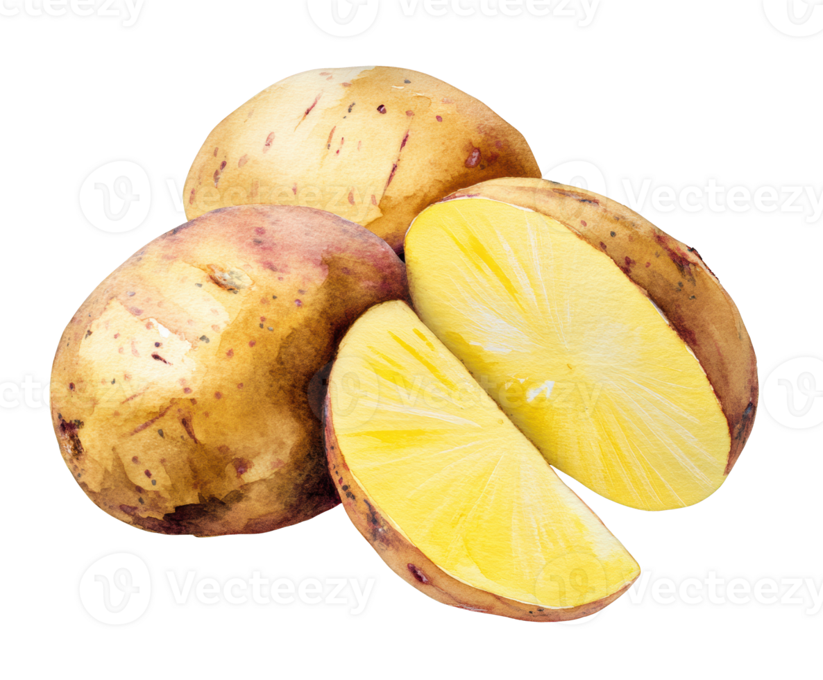 Unique potatoes on display with fresh lemon slices for cooking png