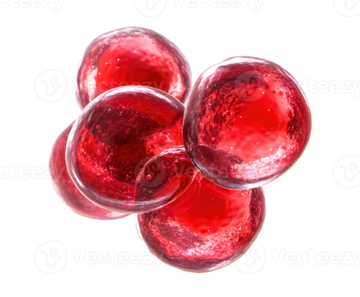 Bright red spheres representing cells on a plain background png