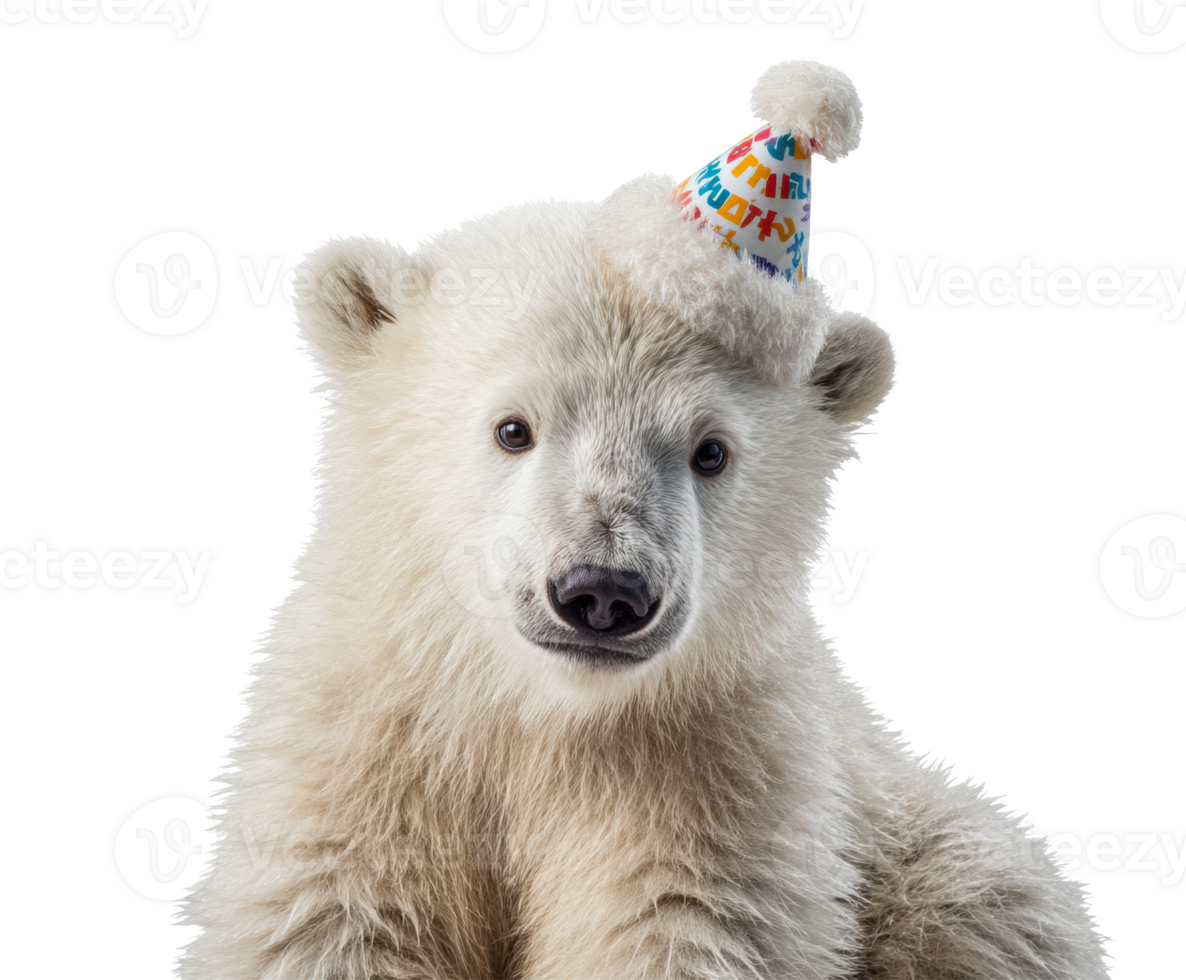 Polar bear wearing a birthday hat celebrating with joy png