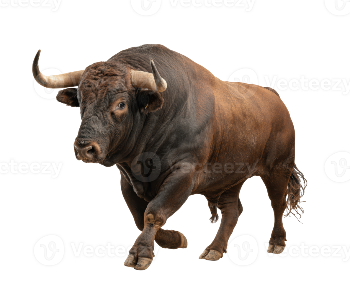 Powerful brown bull walking confidently on a plain surface png