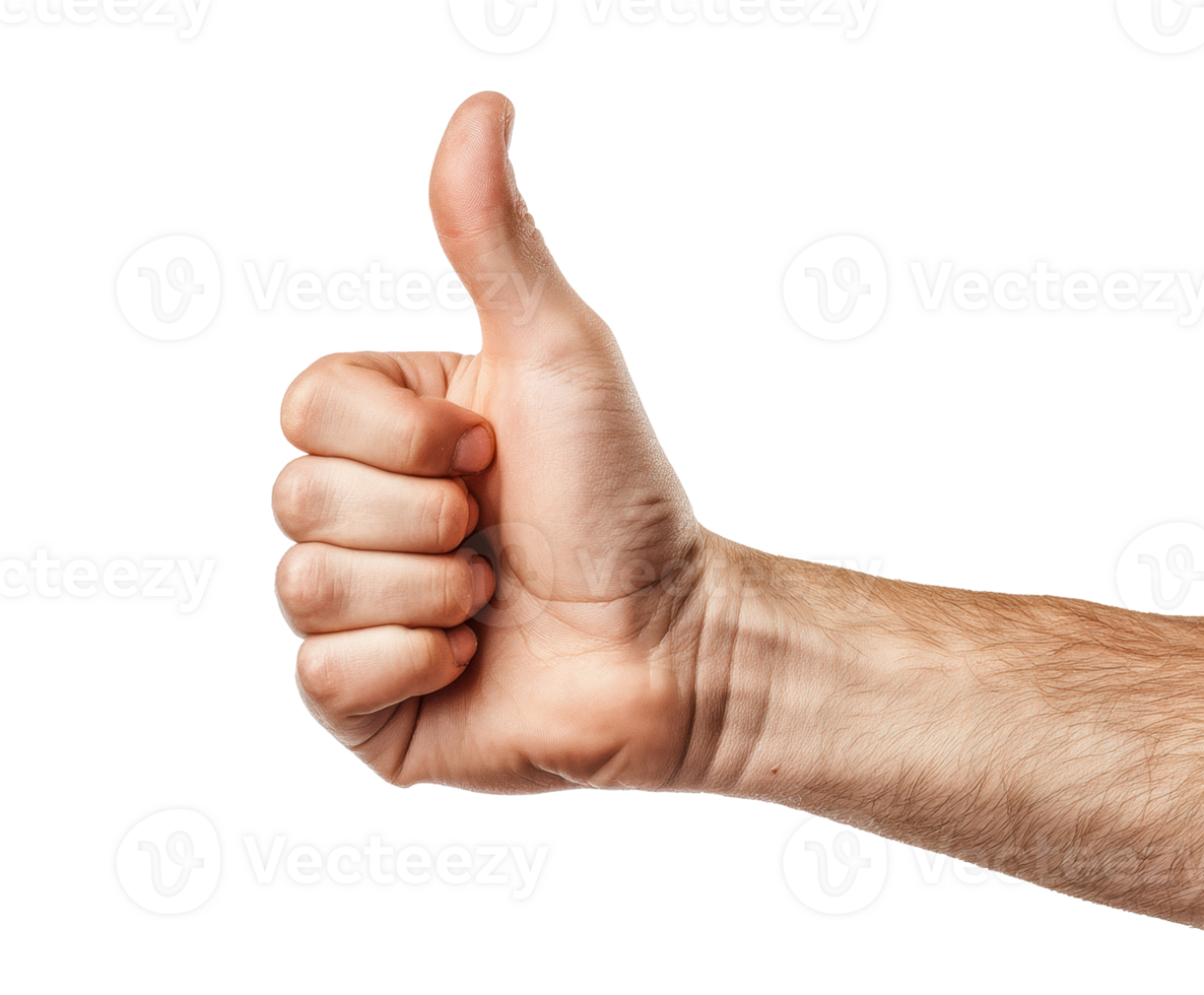 Hand gesture of approval with thumb raised for positive affirmation png