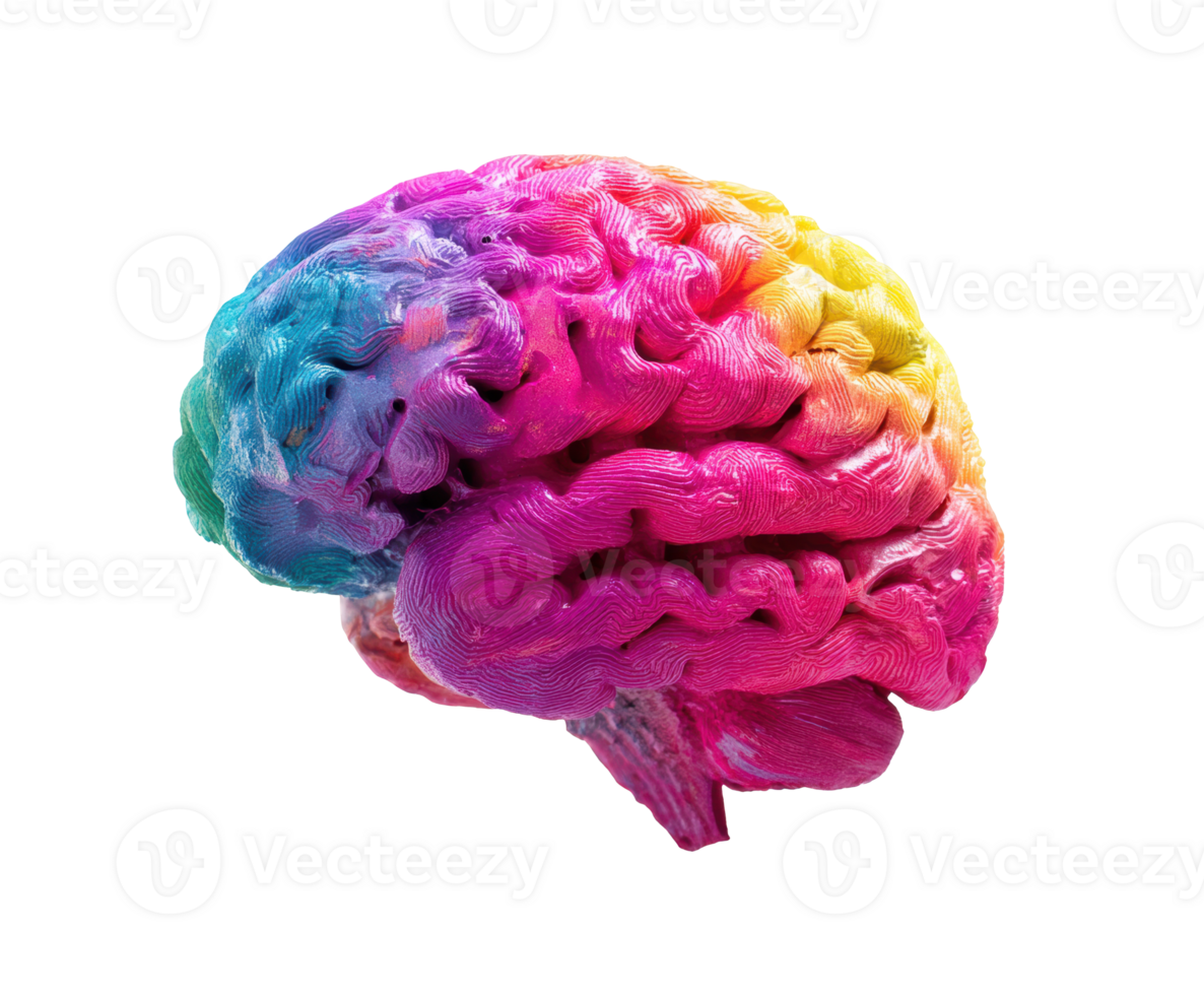 Colorful brain design for creativity and mental wellness png