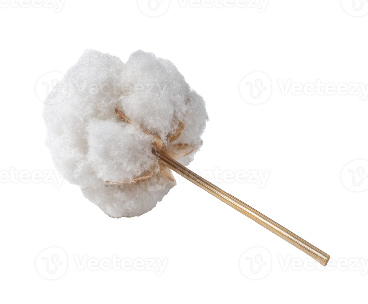 Decorative cotton flower on a stick for crafts and home decor png