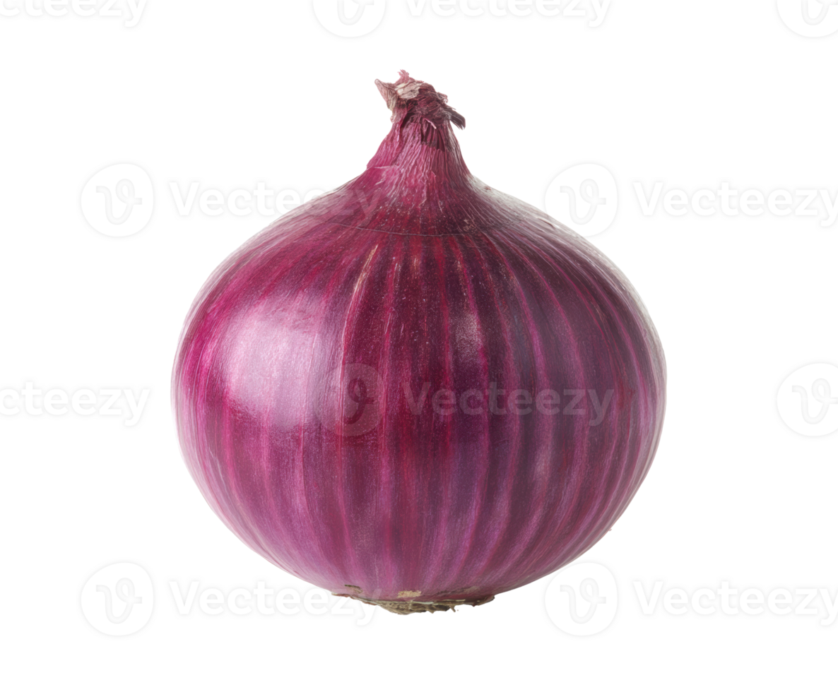 Fresh red onion for culinary use in healthy cooking and recipes png
