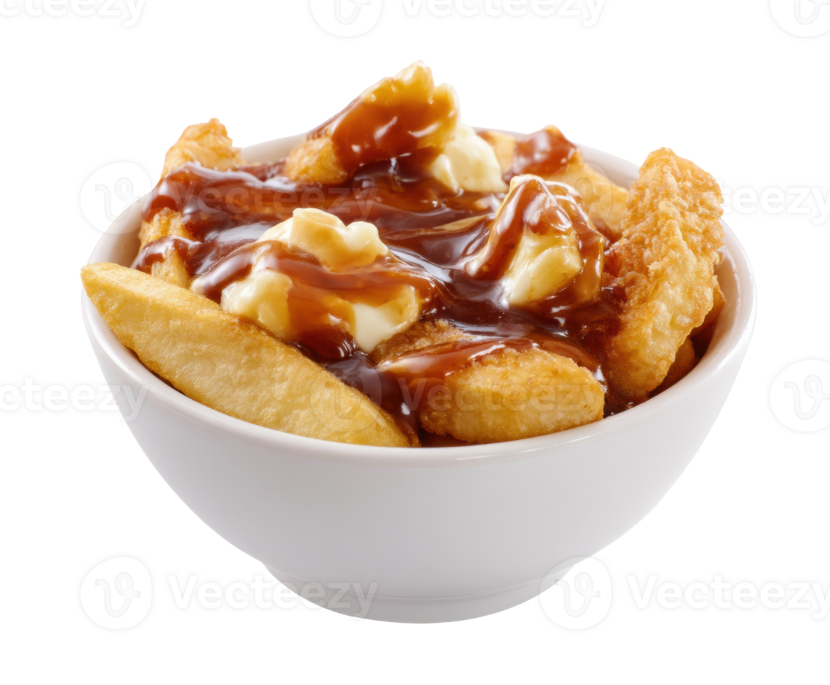 Classic poutine with crispy fries and savory gravy served in a bowl png