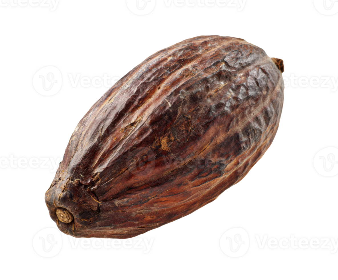 Cacao pod ready for chocolate production and culinary uses png