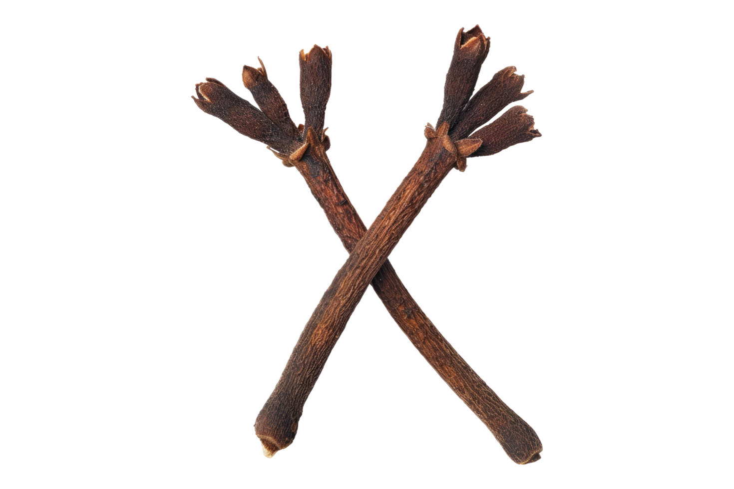 Clove stem isolated on transparent background png