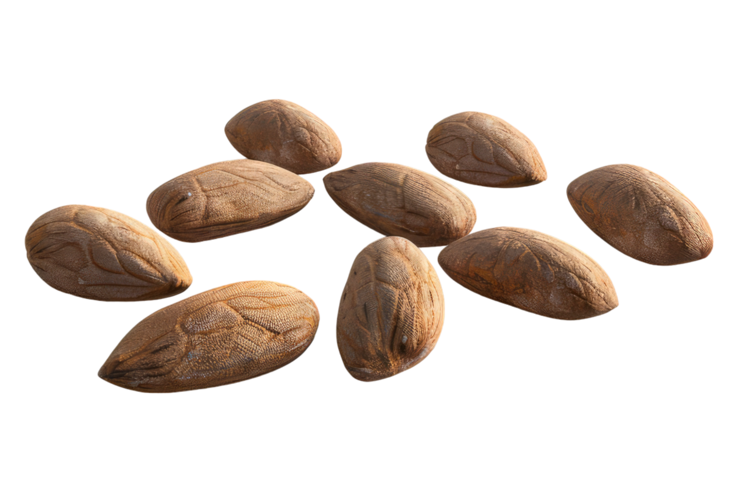 Fresh almond isolated on transparent background png