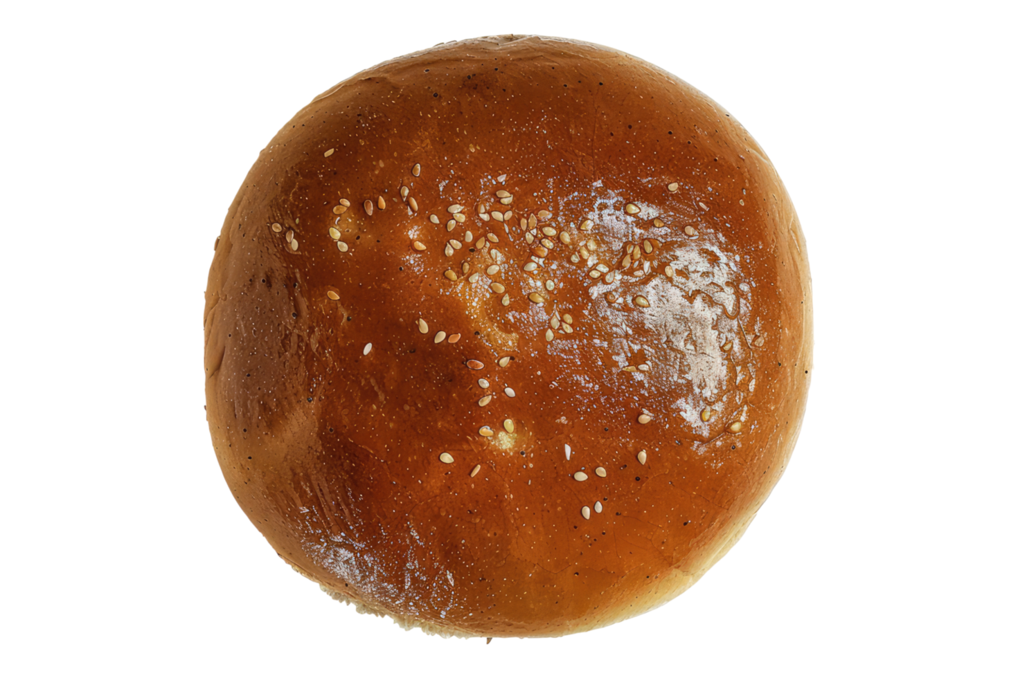 Fresh hamburger bun isolated on transparent background png