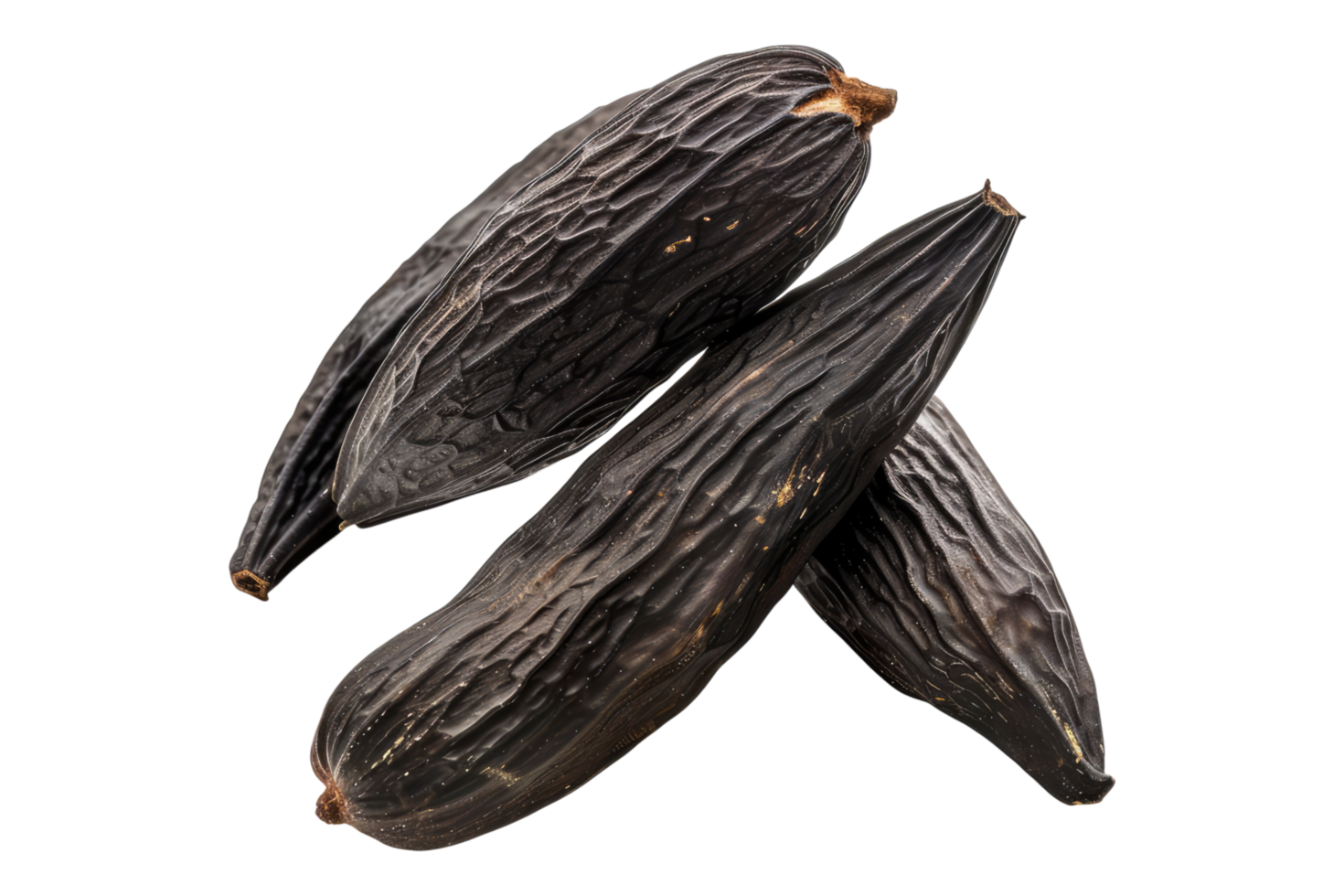 Tonka beans isolated on transparent background png