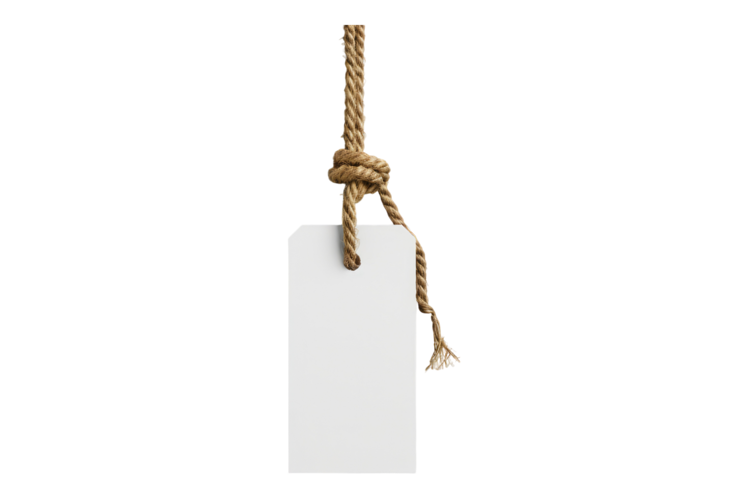 White tag hanging form rope isolated on transparent background png