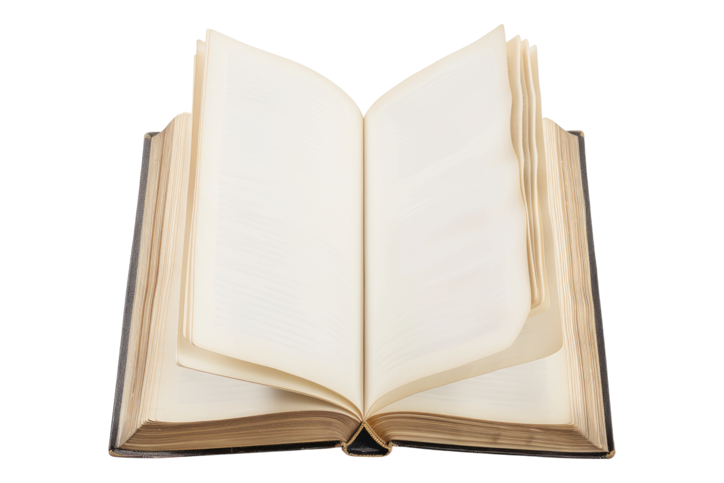 Blank open book isolated on transparent background png