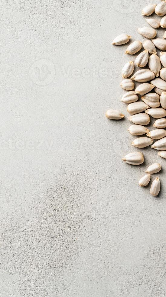 White Seeds Grouped on Concrete Surface for Gardening Projects and Concepts with Copy Space on the Left Side photo