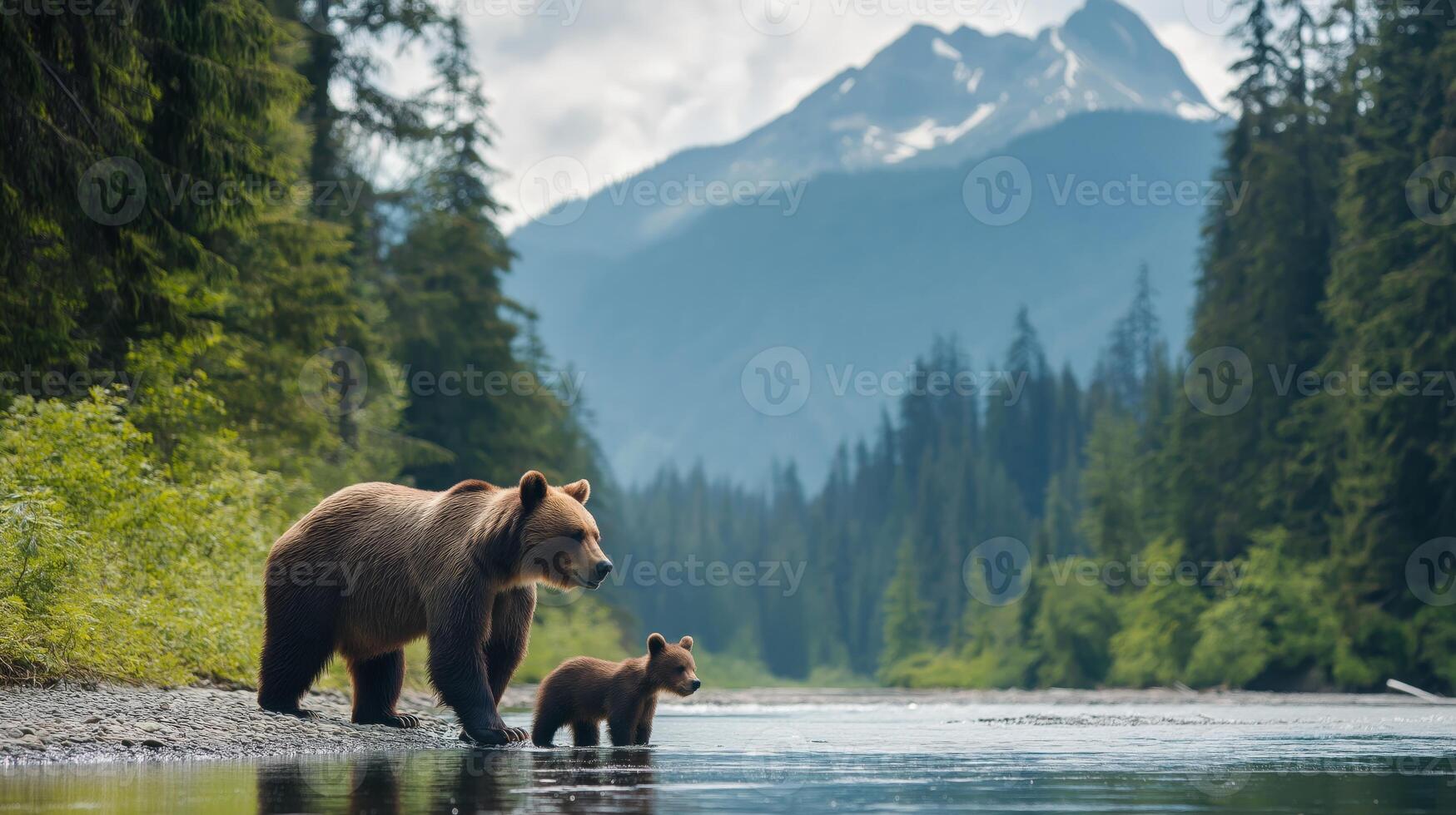 A grizzly bear and its cub walk along a riverbank surrounded by trees and mountains during daylight. photo