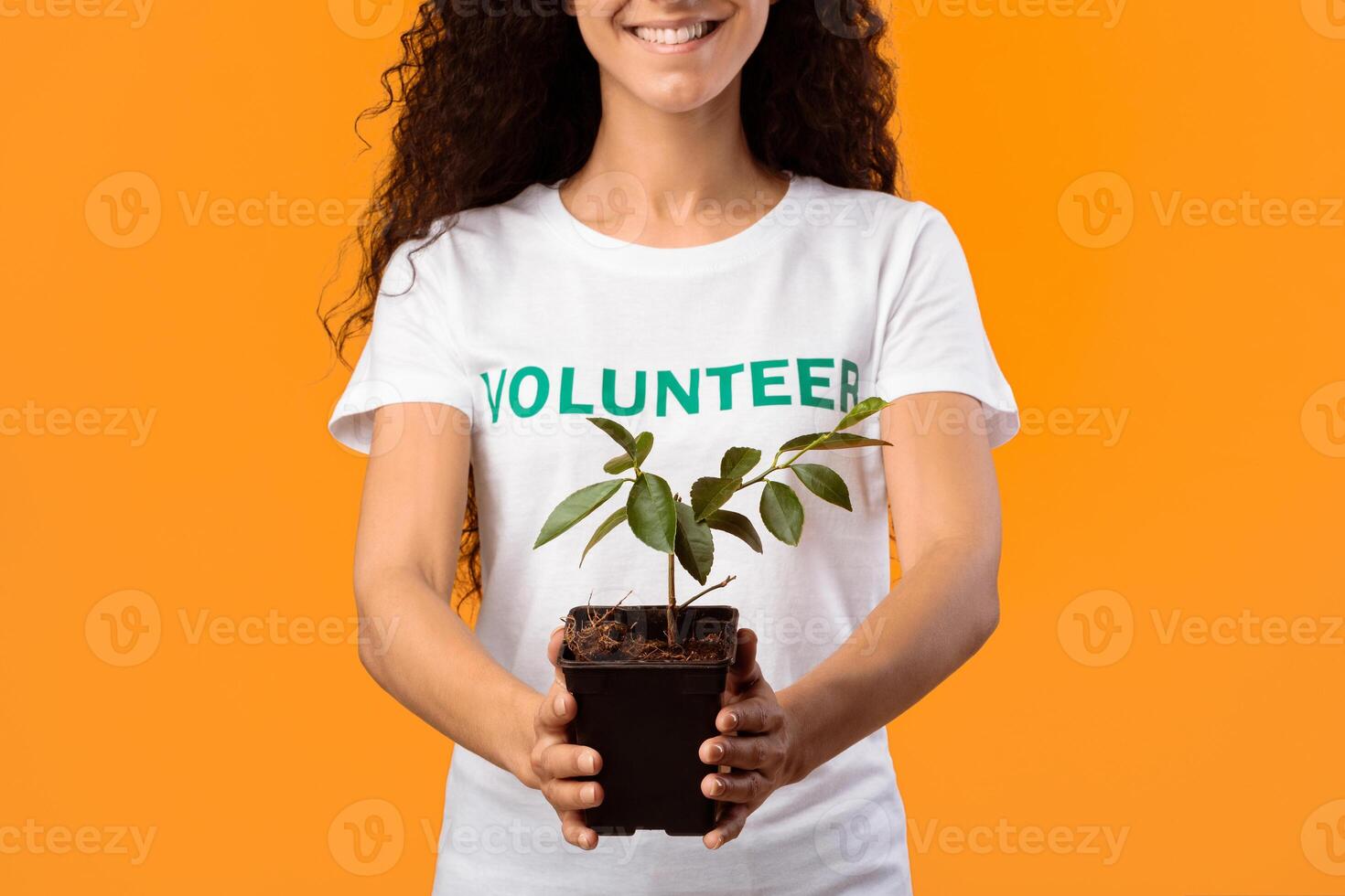 Unrecognizable Volunteer Woman Holding Green Plant In A Pot Standing Over Yellow Studio Background. Protection Of Nature And Environment, Ecology, Save Our Planet Concept. Cropped photo