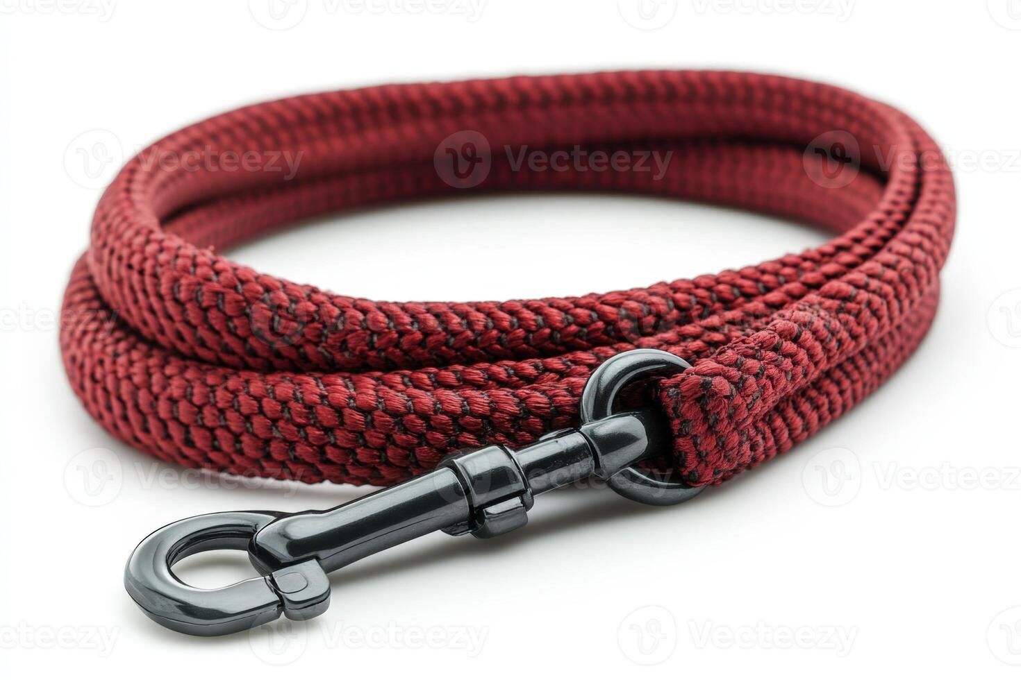 A red dog leash with a black metal hook photo