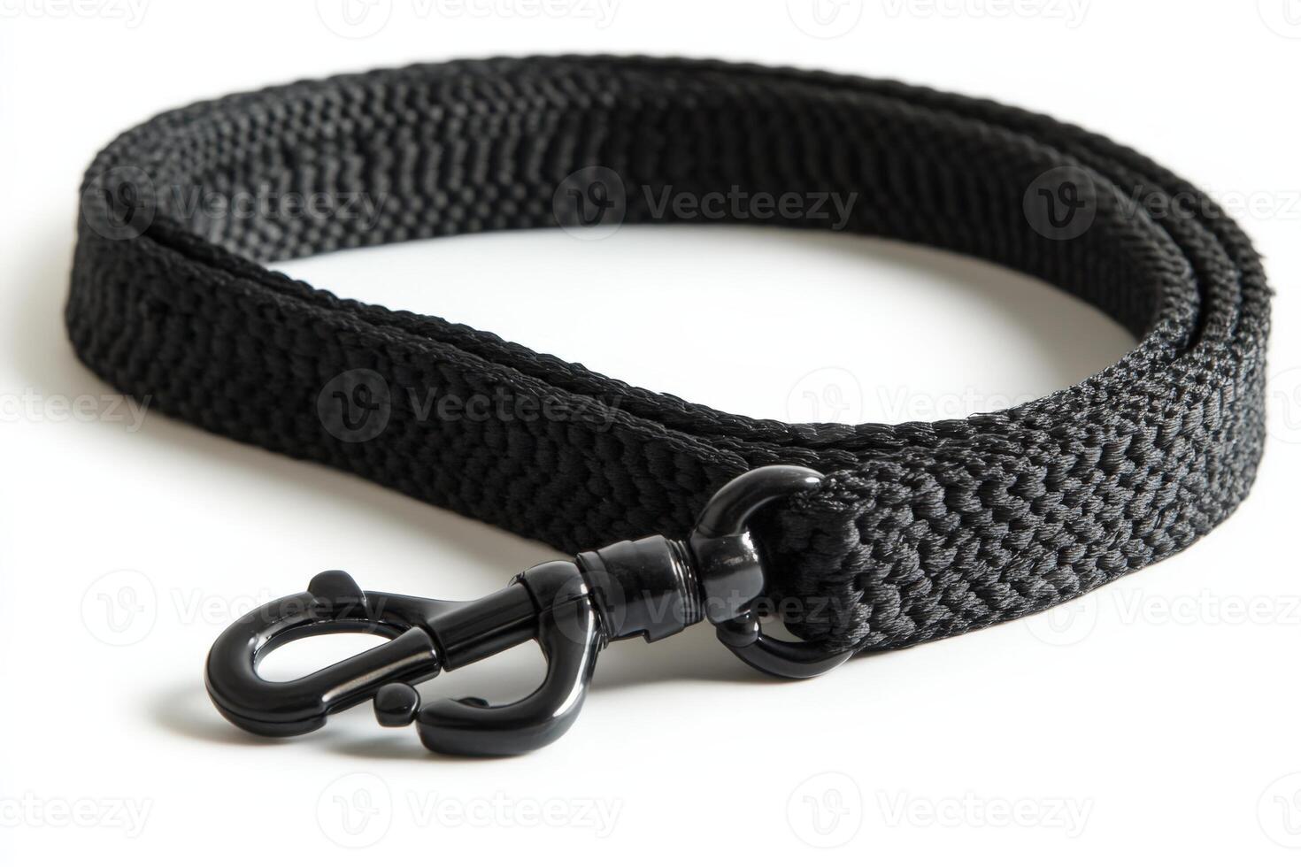 A black dog leash with a metal hook photo