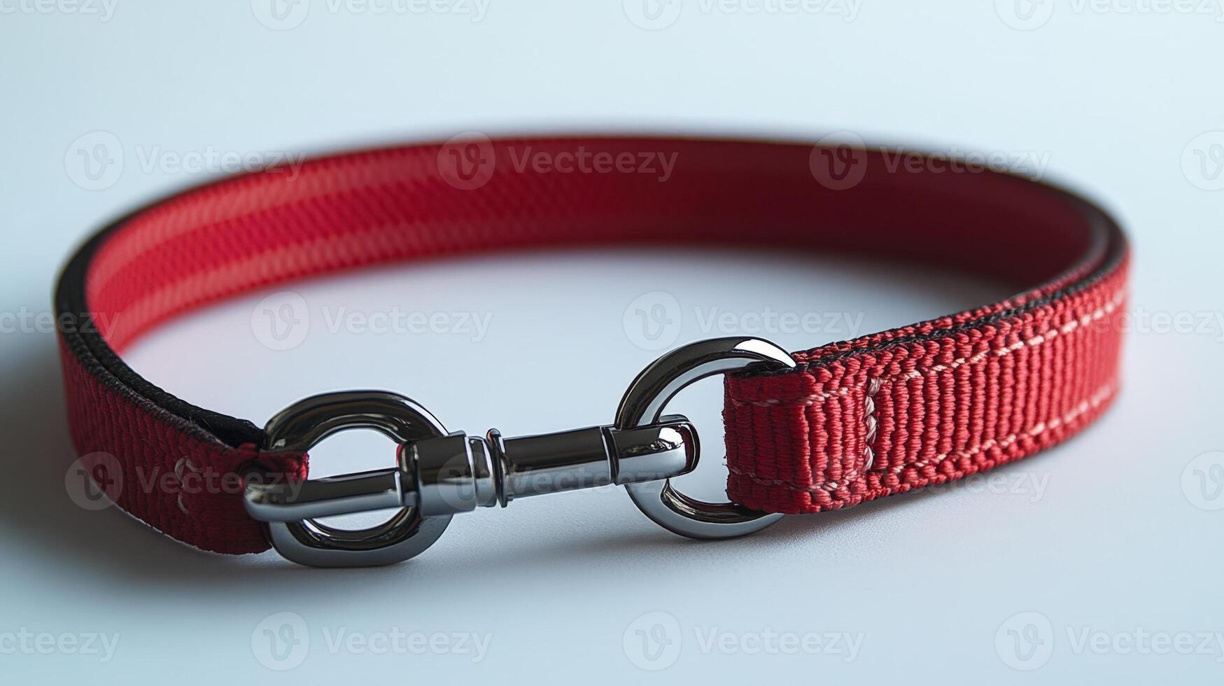 A red dog collar with a metal buckle photo