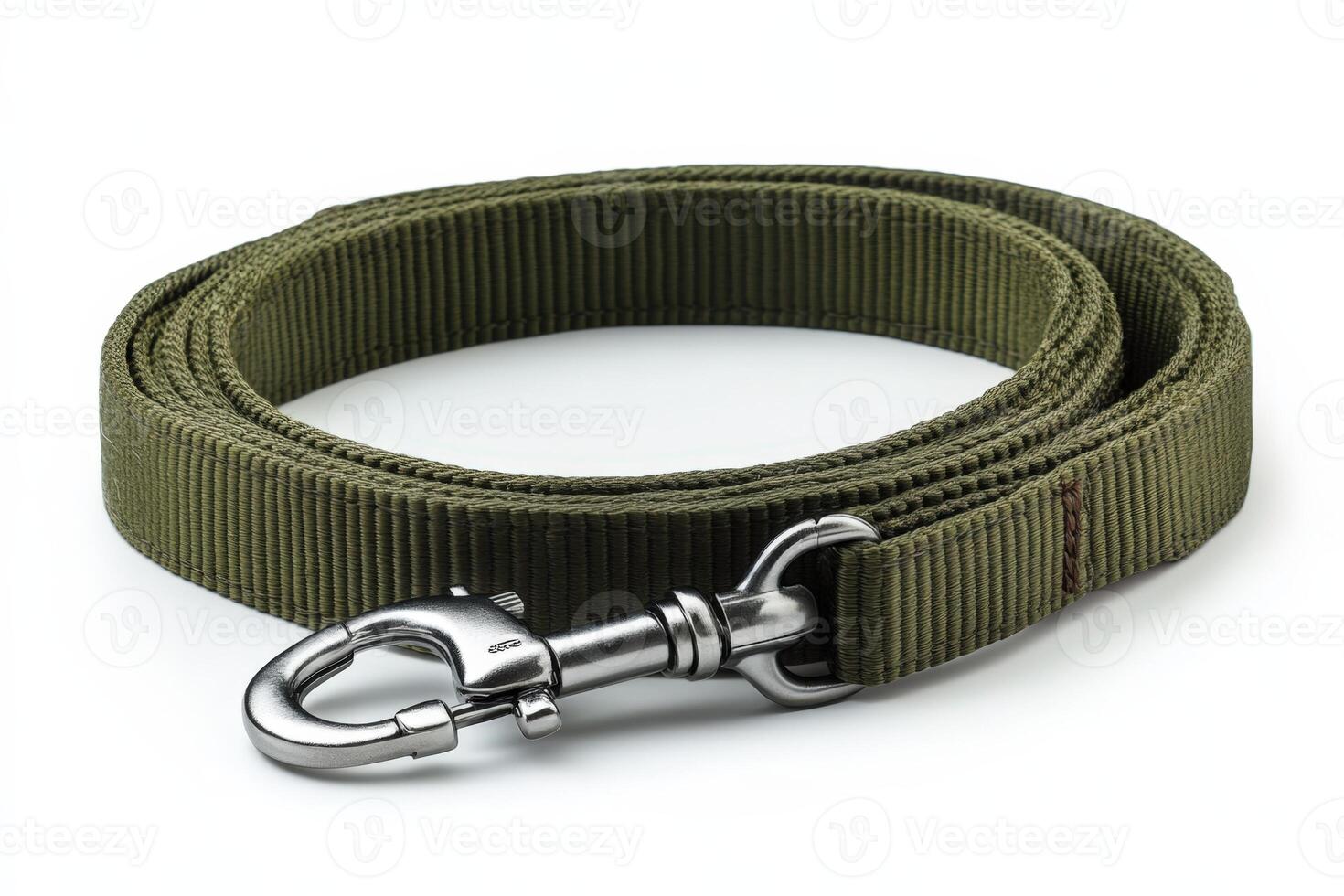 The olive green nylon dog leash has a metal hook and a metal ring photo