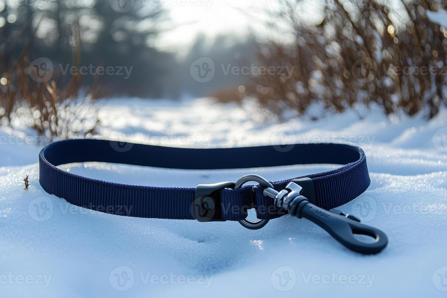 A blue dog leash laying in the snow photo