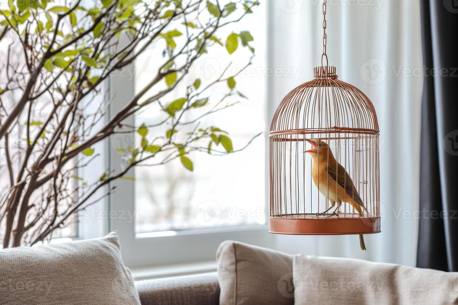 A bird in a cage sitting on a couch photo