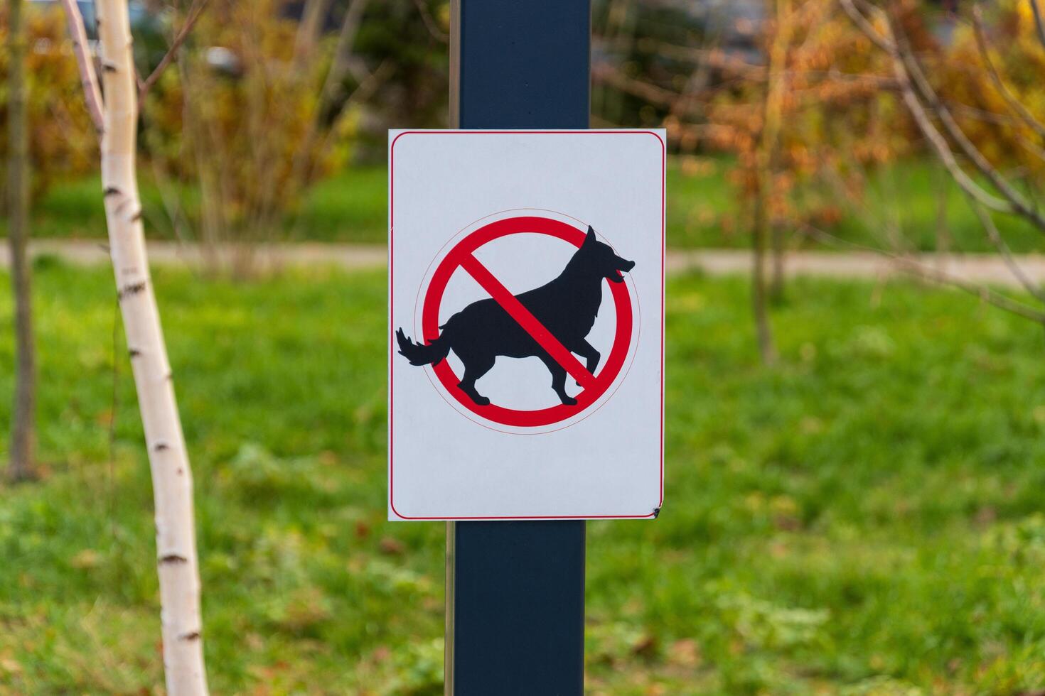 A clear warning sign stands in a lush outdoor space, featuring a graphic of a dog crossed out by a red circle photo