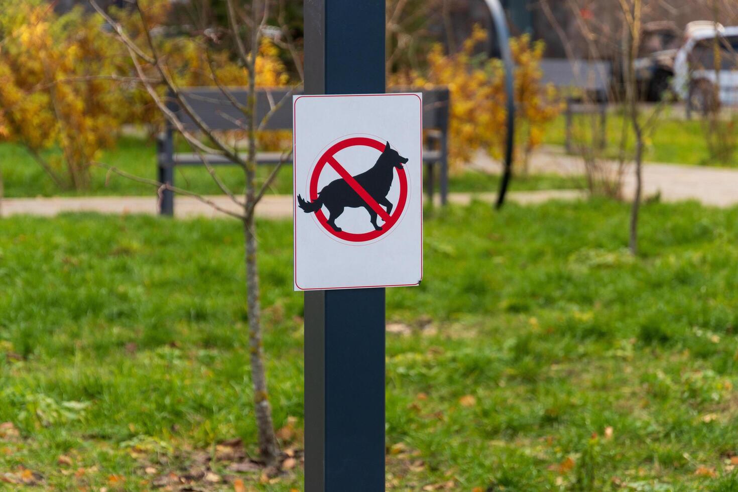 In a sunny outdoor park setting, a clear warning sign stands tall, depicting a dog inside a red prohibition circle photo