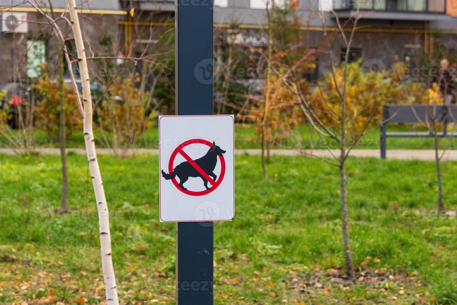 A bright warning sign displays a crossed-out dog symbol, indicating that dogs are not allowed to relieve themselves in this green public area. The backdrop features autumn foliage and urban elements photo