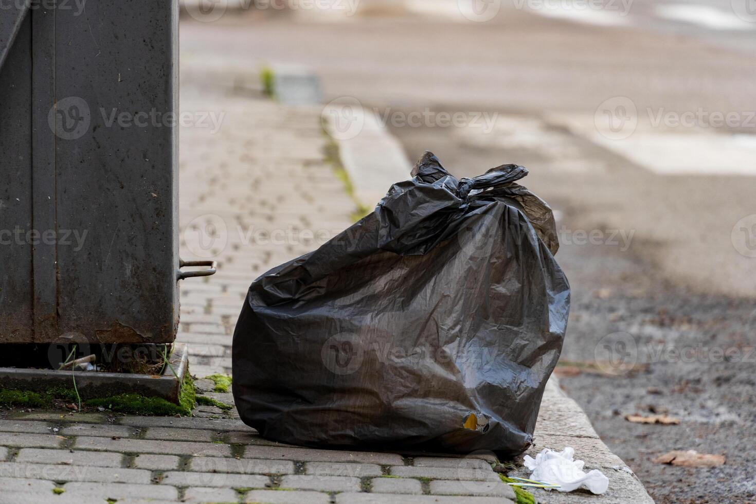 Garbage bags rest beside a waste container on a cobblestone path, showcasing the ongoing challenge of litter in urban settings. Effective recycling and disposal are essential for environmental health photo
