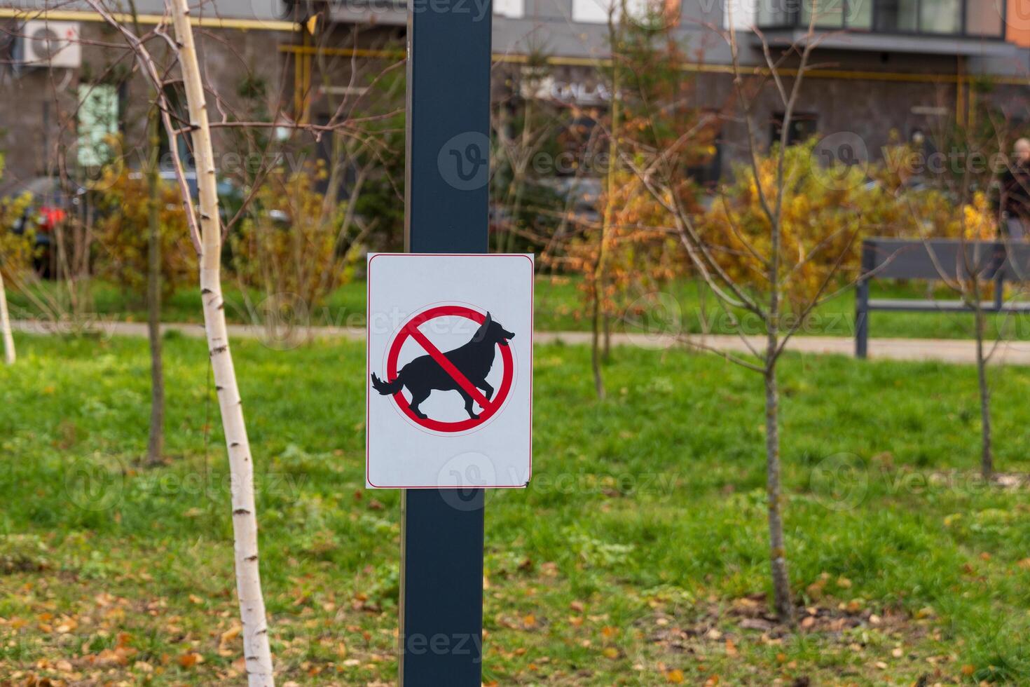 A warning sign is prominently placed in a grassy area, indicating that dog walking is prohibited. The symbol shows a dog inside a red circle with a slash, reinforcing the rule photo