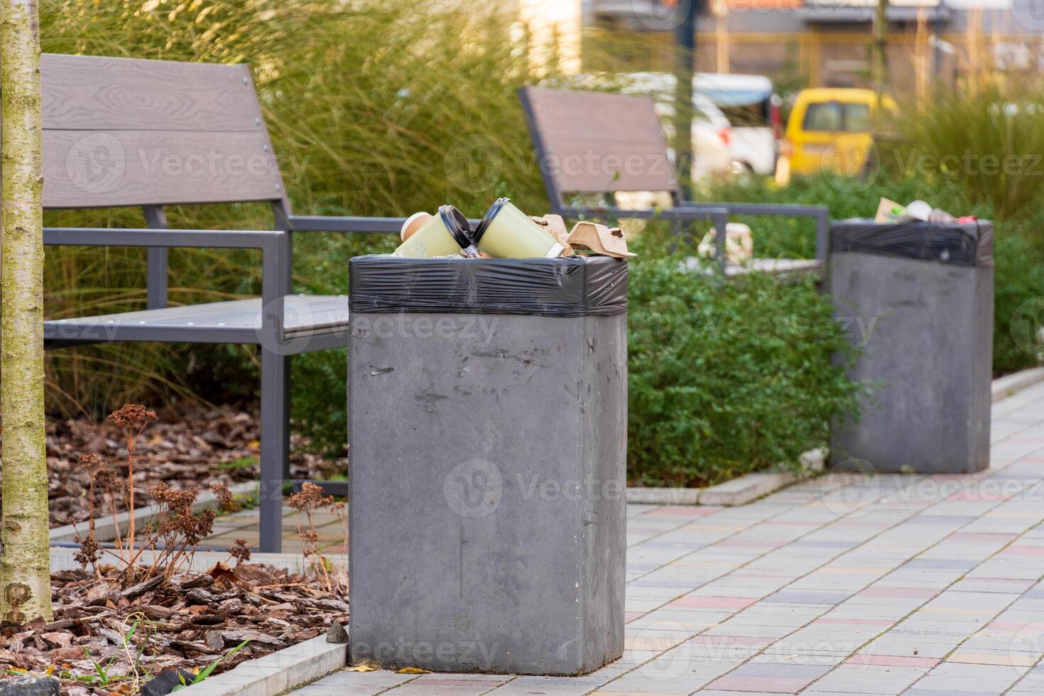 In a city park, two garbage bins overflow with trash and plastic bags. Nearby benches provide a resting spot for visitors amid greenery and paved walkways, highlighting waste management's importance photo