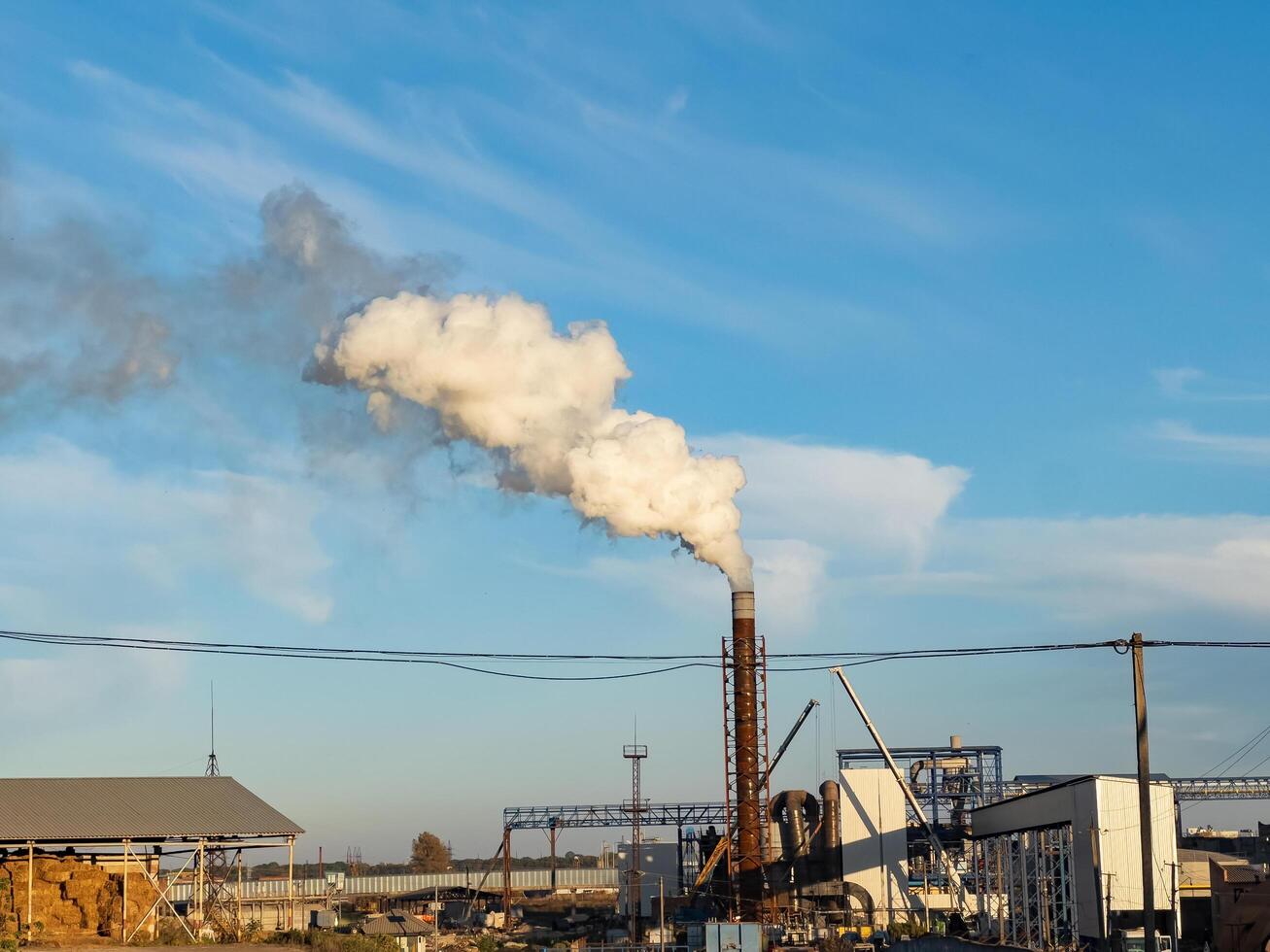 In the golden light of late afternoon, thick white smoke billows from a high chimney, contrasting against a bright blue sky. Surrounding structures hint at industrial activity photo
