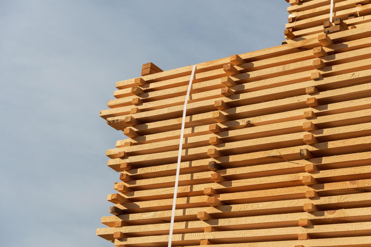Tall stacks of freshly cut lumber sit neatly aligned under a clear blue sky, showcasing their natural texture and color. The early morning sun casts soft shadows, enhancing their appeal photo