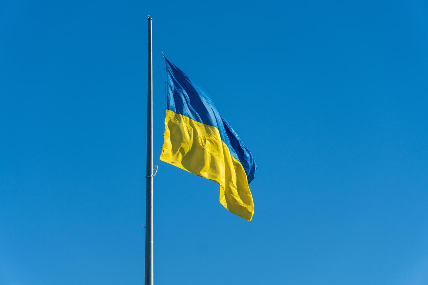 A vibrant blue and yellow flag flutters gracefully atop a flagpole, set against the backdrop of a radiant blue sky. The scene exudes a sense of pride and unity, capturing the spirit of a nation photo