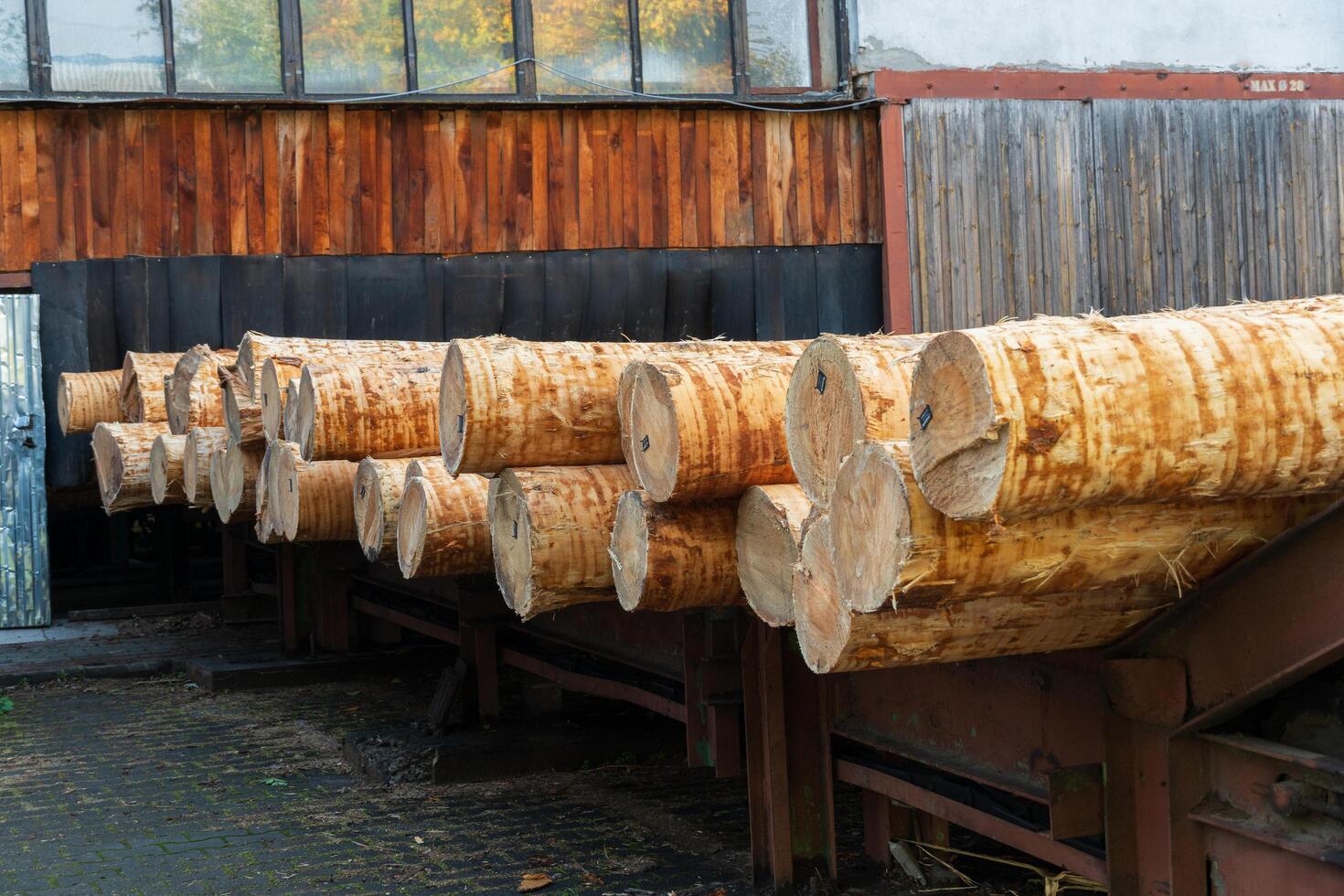 Sunlight bathes a row of freshly cut logs resting against a rustic wooden shed. The texture of the bark and the warmth of the wood contrast beautifully with the surrounding atmosphere photo