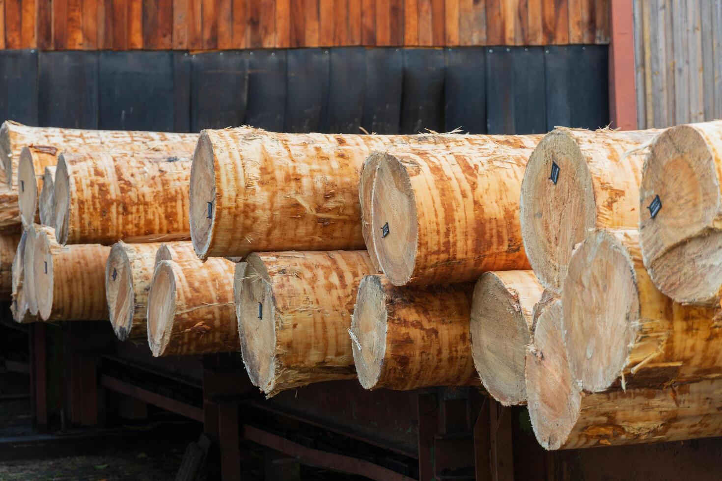 Freshly cut logs arranged neatly in stacks await their turn at the sawmill. The rustic charm of the surrounding area adds to the serene atmosphere of this lumber processing site photo