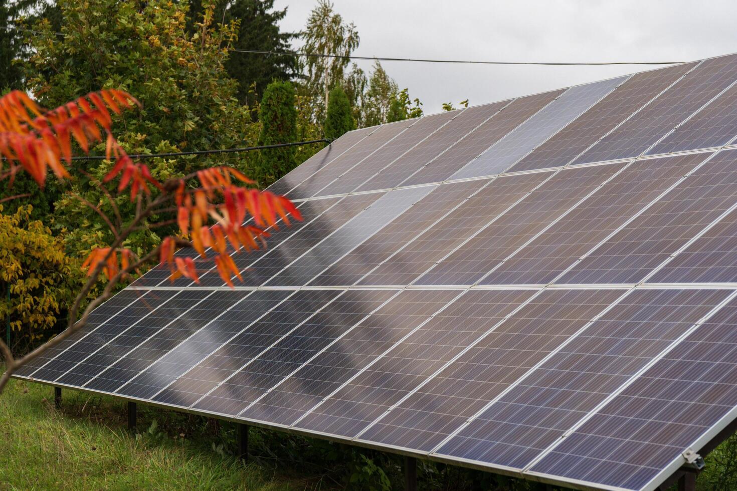 A ground-mounted solar panel system captures the sun's rays in a suburban setting. Autumn foliage frames the panels, creating a contrast between nature and technology photo