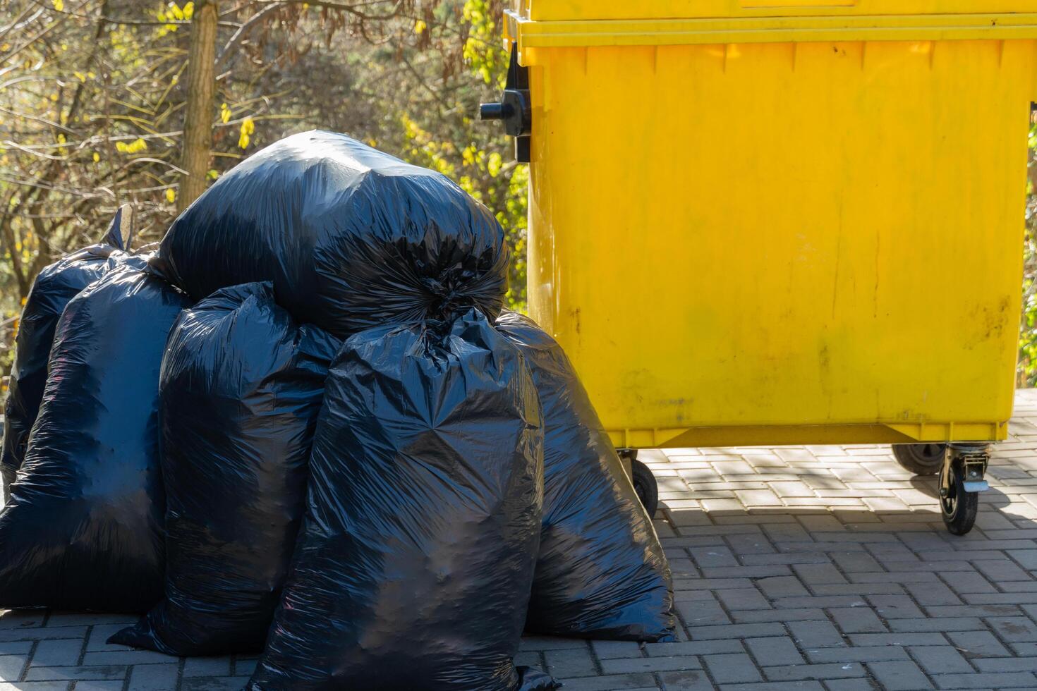 Bright sunlight illuminates a city park where a yellow garbage can stands beside a pile of black plastic bags, hinting at recent clean-up efforts photo