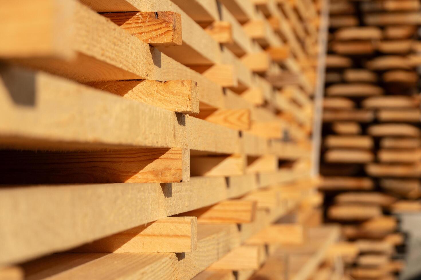 Sunlight filters through a warehouse, highlighting the polished surfaces of meticulously arranged wooden planks. The stacks create a warm, inviting texture photo