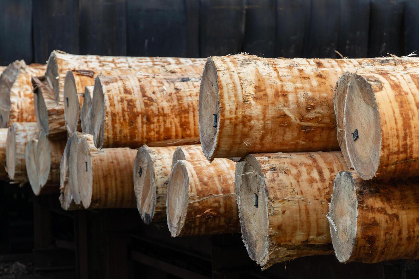 In a well-organized lumber yard, freshly cut pine logs are stacked in neat rows, showcasing their rich texture and color under the bright daylight, awaiting their next use photo