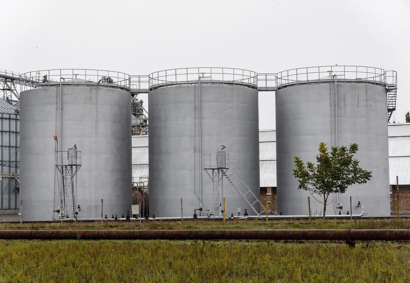 Three tall fuel storage silos dominate the landscape, surrounded by greenery, as they prepare to store essential resources in an industrial area, highlighting function and form photo