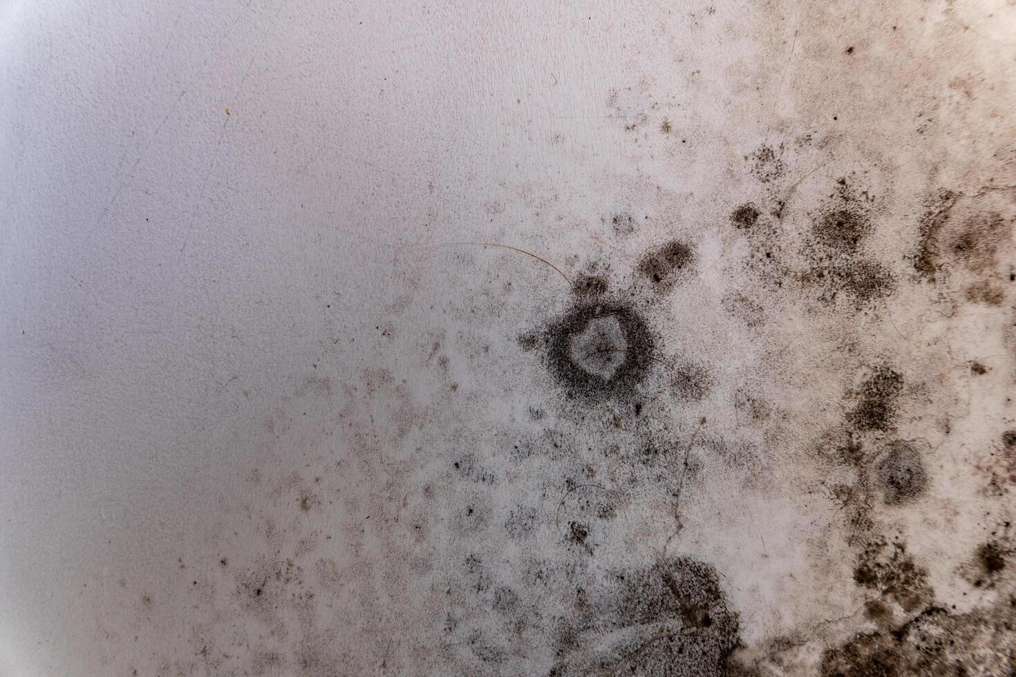 Dampness has allowed fungi to flourish on the wall, showcasing a network of mold that thrives in neglected corners of home spaces, highlighting a battle against moisture photo